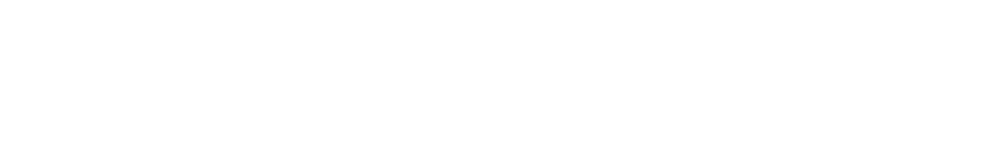 Translatewiz